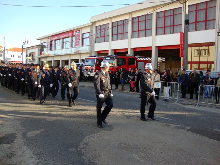 Desfile8jan2012